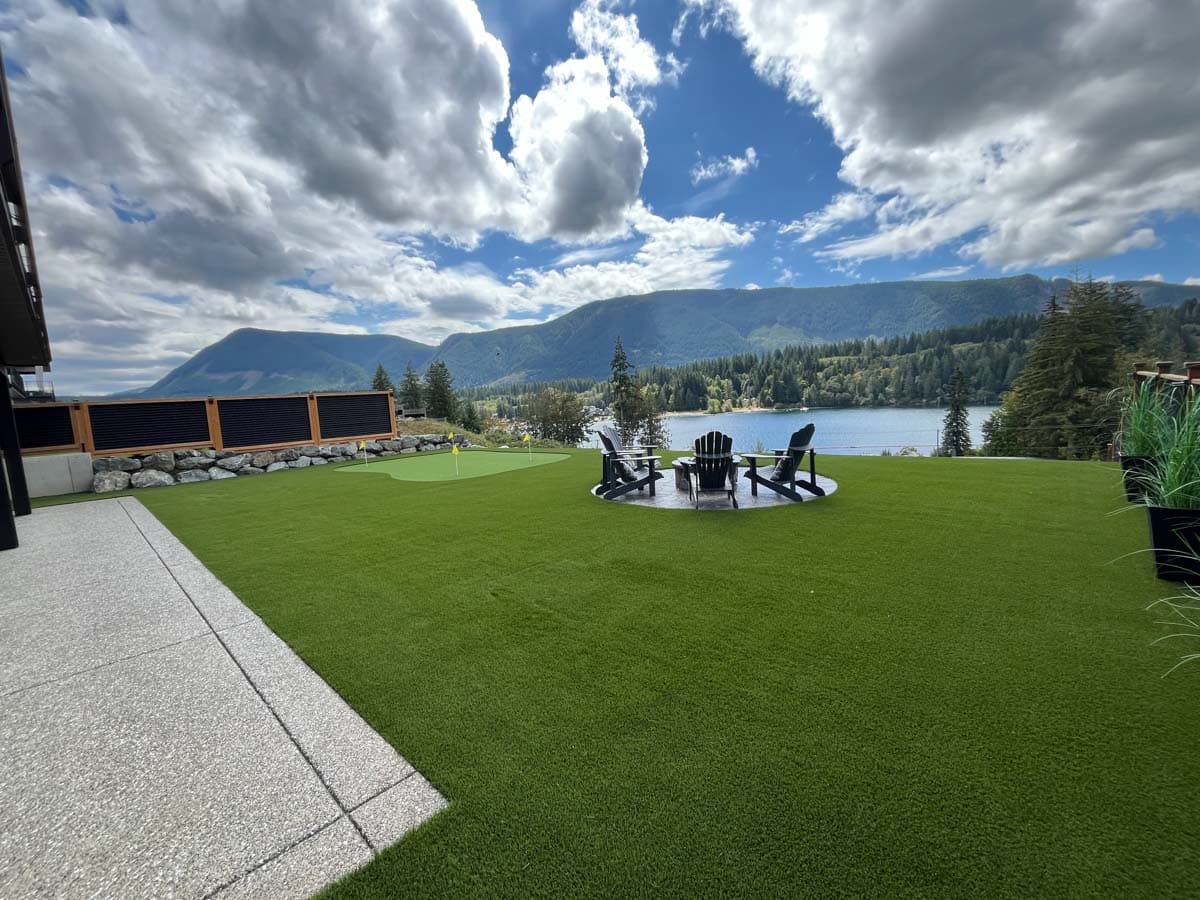Lush green lawn with scenic view